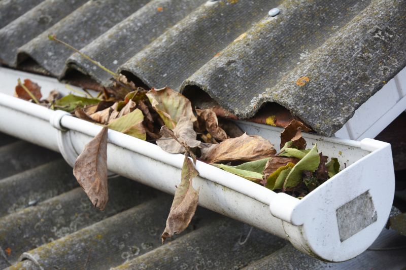 Clogged Gutter Damage