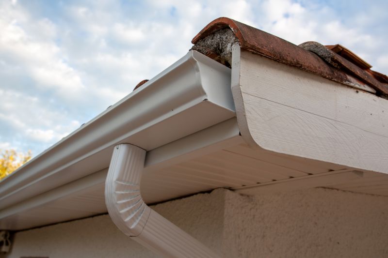 Clean Gutter System